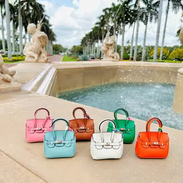 Mini Birkin Bag